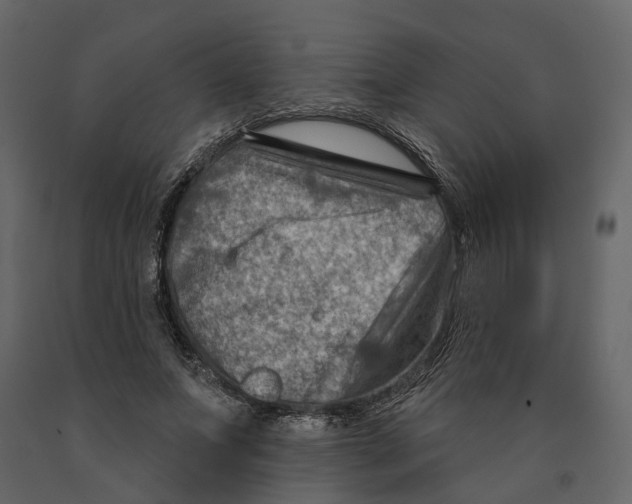 X0000090930687200708271045