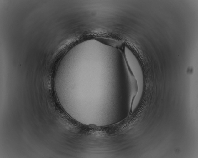 X0000090930689200708271045