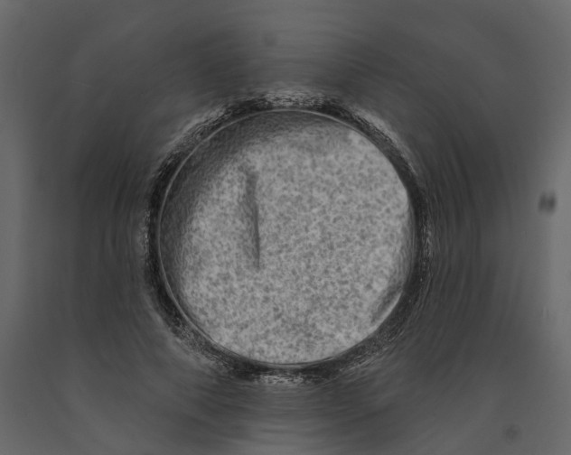 X0000090930690200708271045