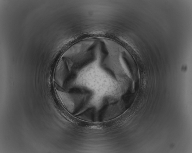 X0000090930692200708271045