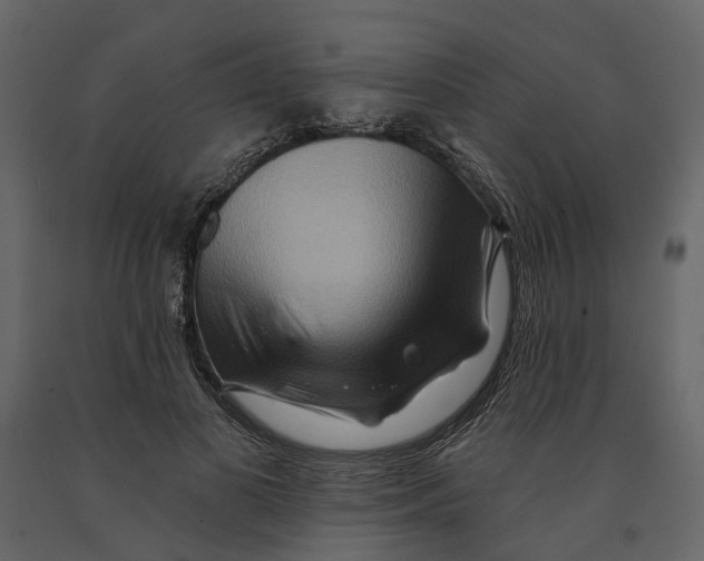 X0000090930693200708271045