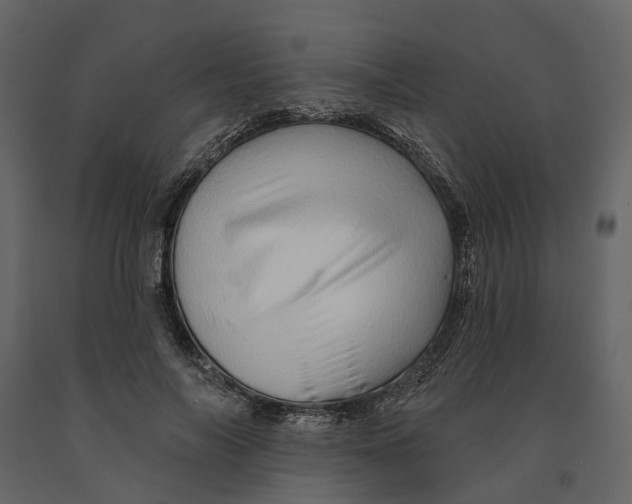 X0000090930694200708271045