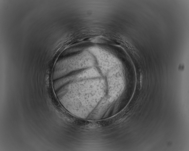 X0000090930696200708271045