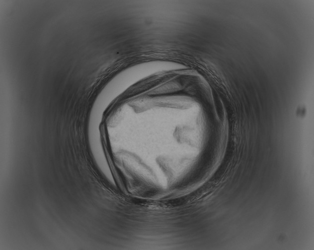 X0000090930697200708271045