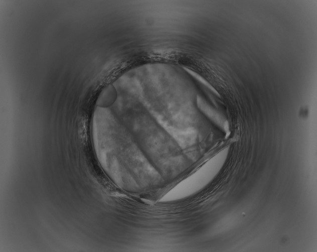 X0000090930699200708271045