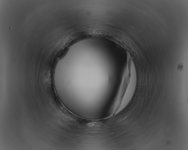 X0000090930700200708271045