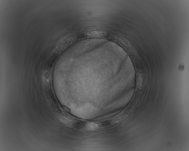 X0000090930701200708271044