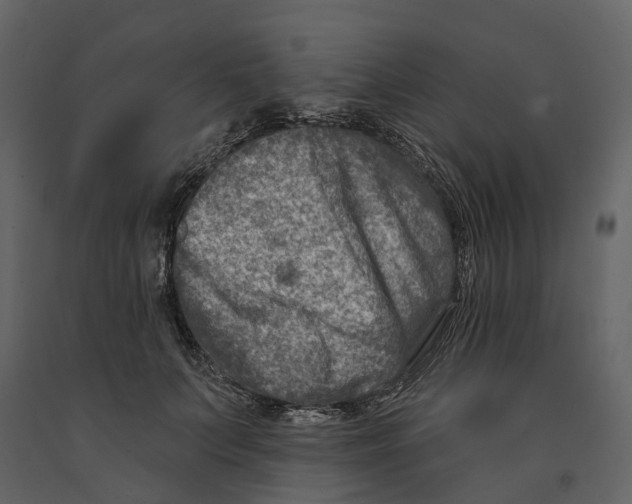 X0000090930703200708271044