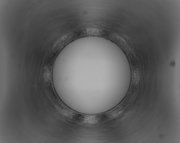 X0000090930705200708271044