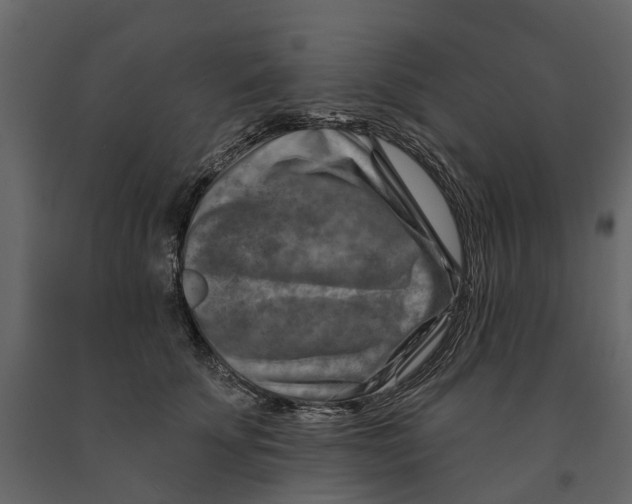 X0000090930707200708271044