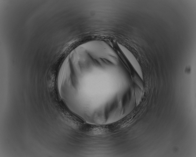 X0000090930708200708271044