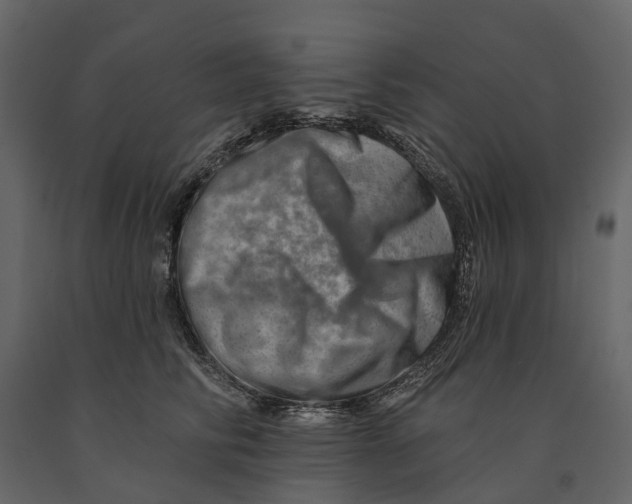 X0000090930710200708271044