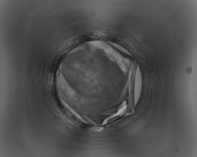 X0000090930711200708271044