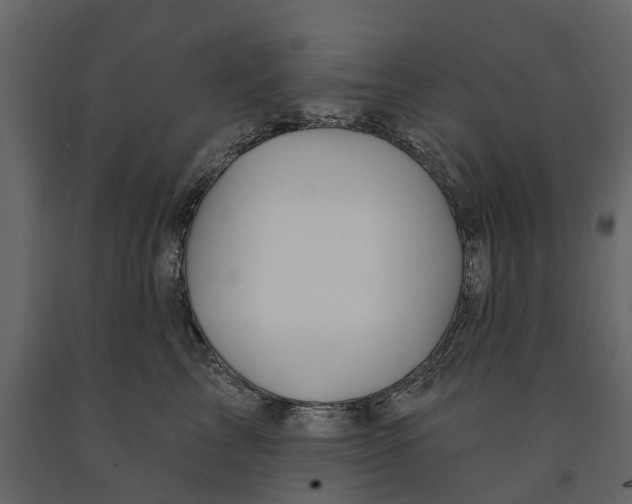 X0000090930713200708271044