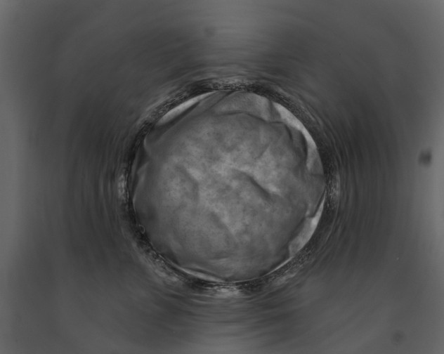 X0000090930715200708271044