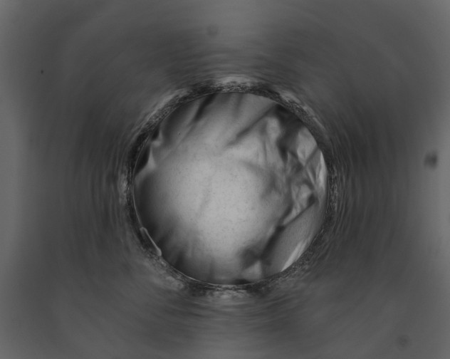 X0000090930716200708271044