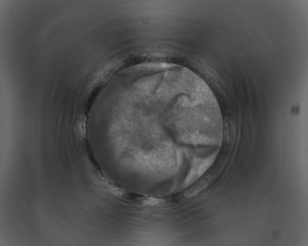 X0000090930718200708271044