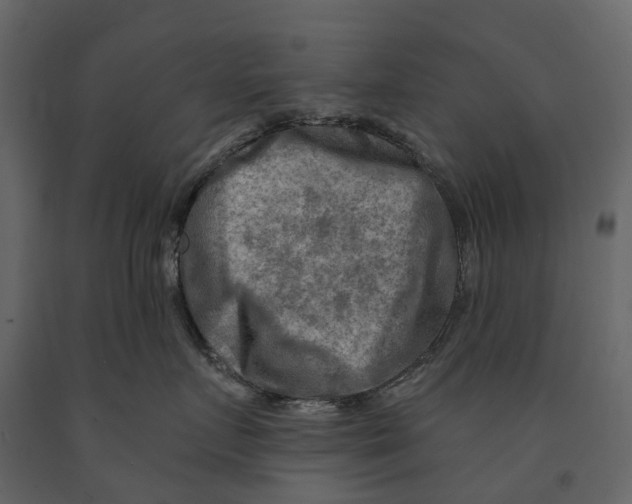 X0000090930719200708271044