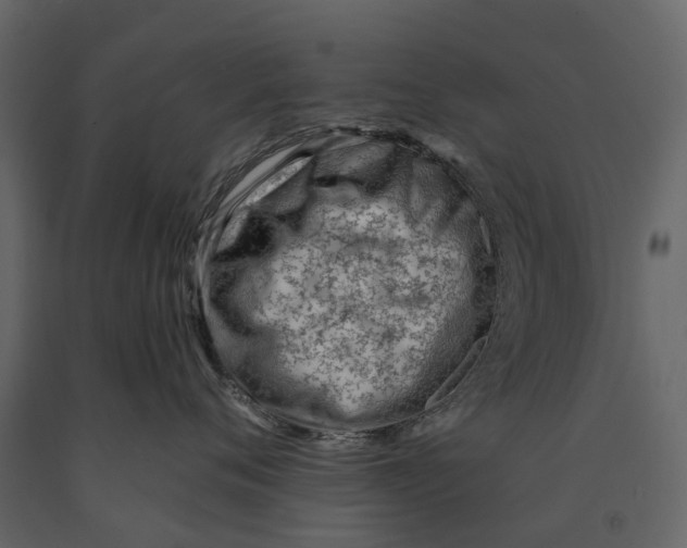 X0000090930720200708271044