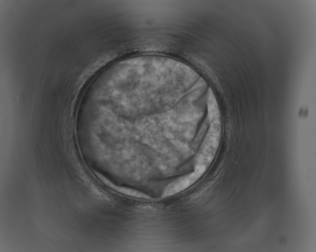 X0000090930721200708271044