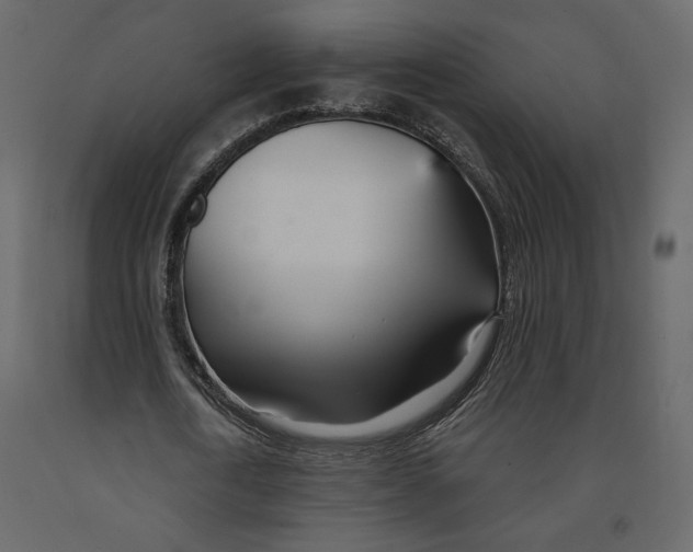 X0000090930722200708271044