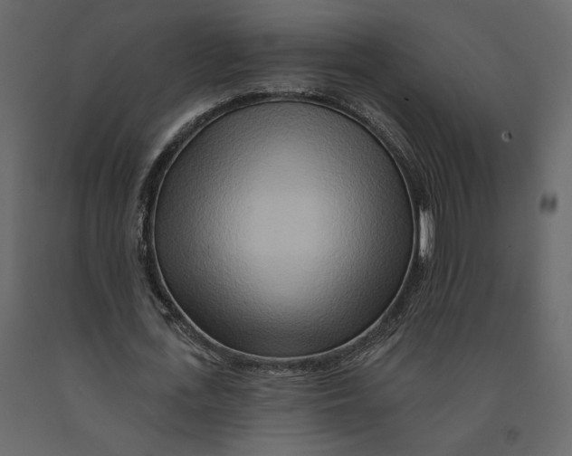 X0000090930723200708271044