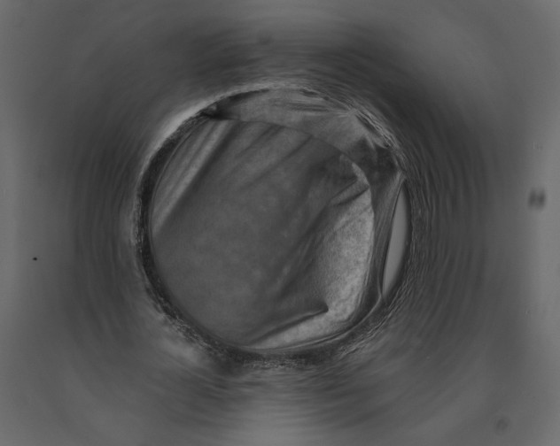 X0000090930724200708271044