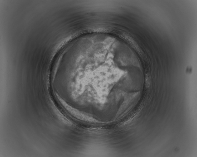 X0000090930725200708271044