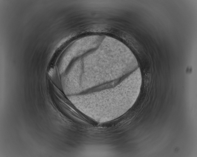 X0000090930727200708271044