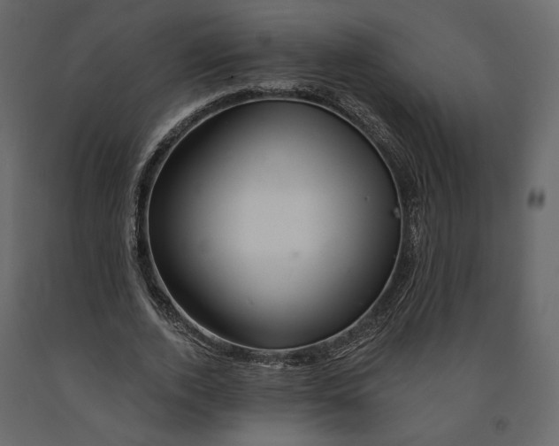 X0000090930728200708271044