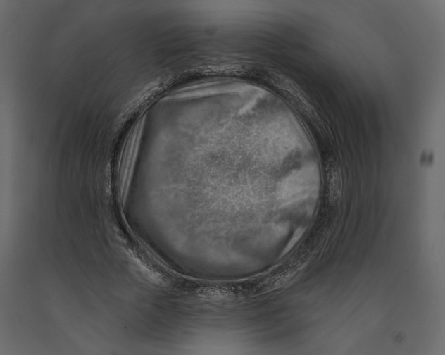 X0000090930729200708271044