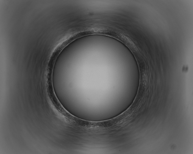 X0000090930730200708271044