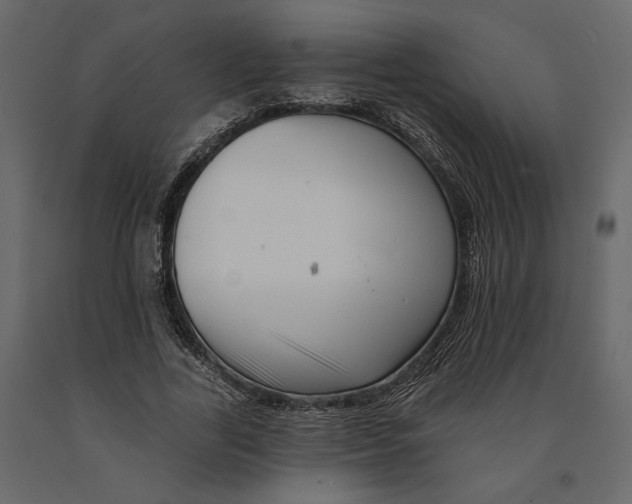 X0000090930731200708271044