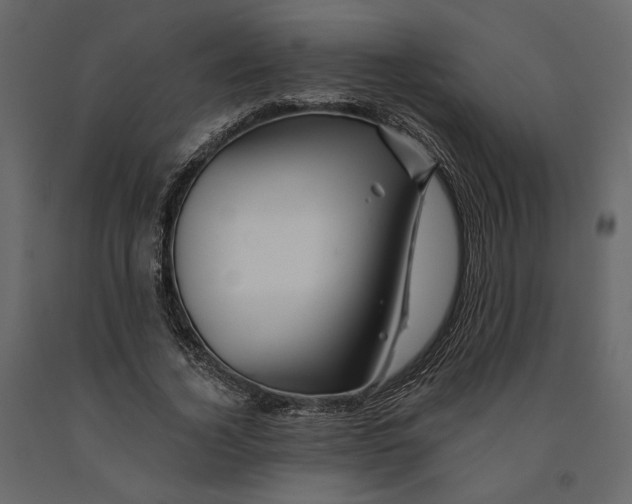 X0000090930732200708271044