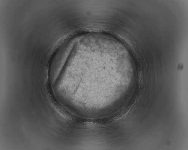 X0000090930733200708271044