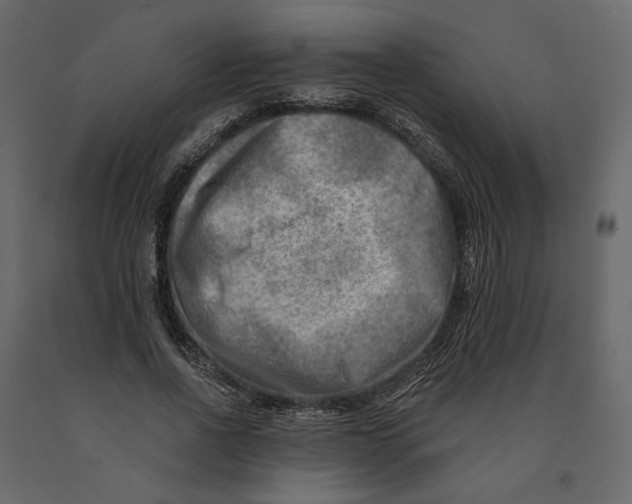 X0000090930734200708271044