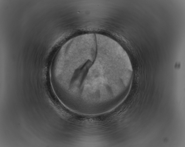 X0000090930735200708271044