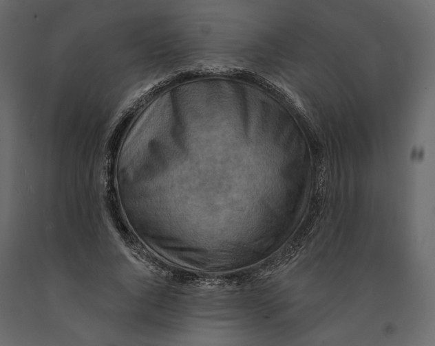 X0000090930736200708271044