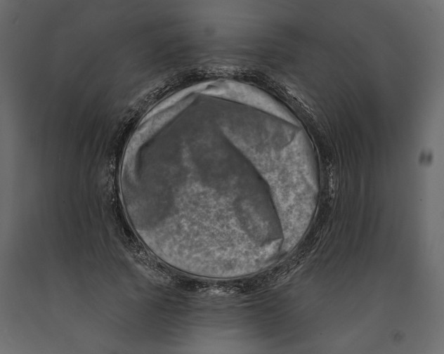 X0000090930737200708271044