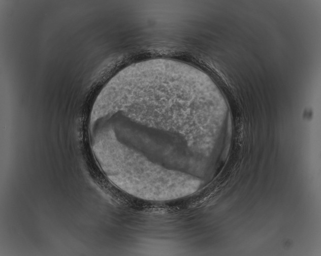 X0000090930738200708271044