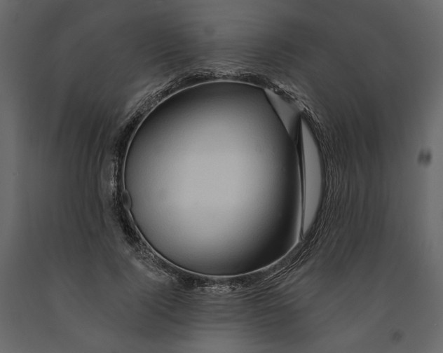 X0000090930740200708271044