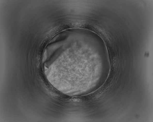 X0000090930741200708271044