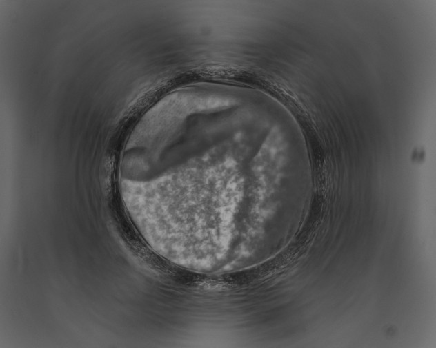 X0000090930742200708271044