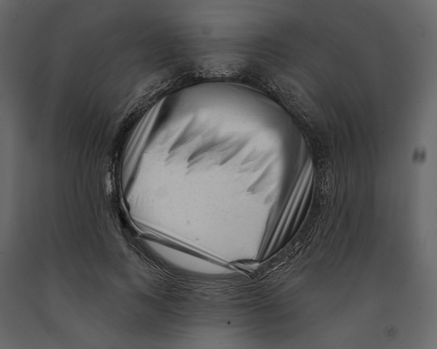 X0000090930743200708271044