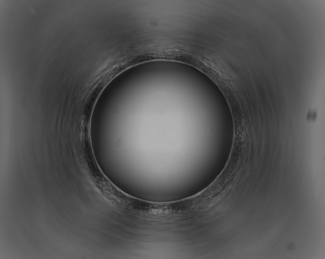 X0000090930744200708271044