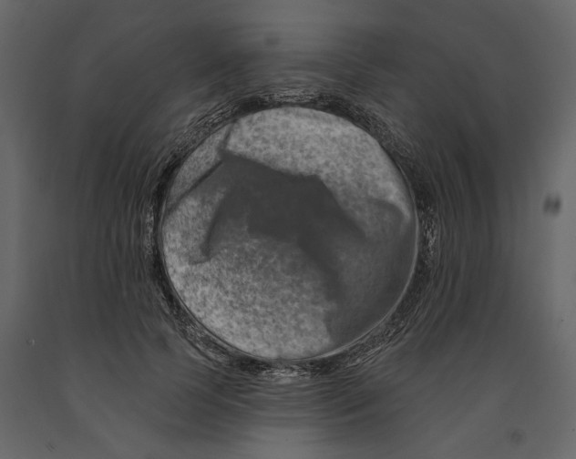 X0000090930745200708271044