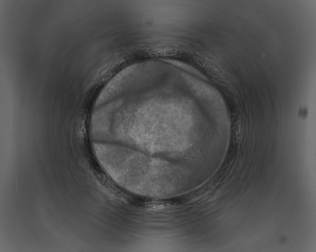 X0000090930746200708271044