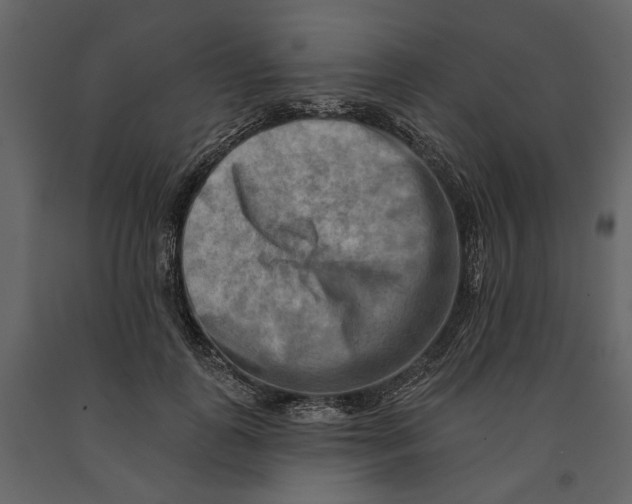 X0000090930747200708271044