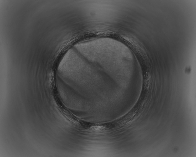 X0000090930748200708271044