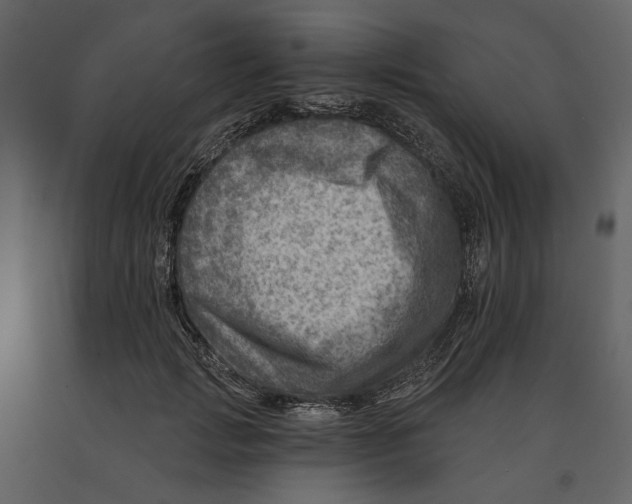 X0000090930749200708271044